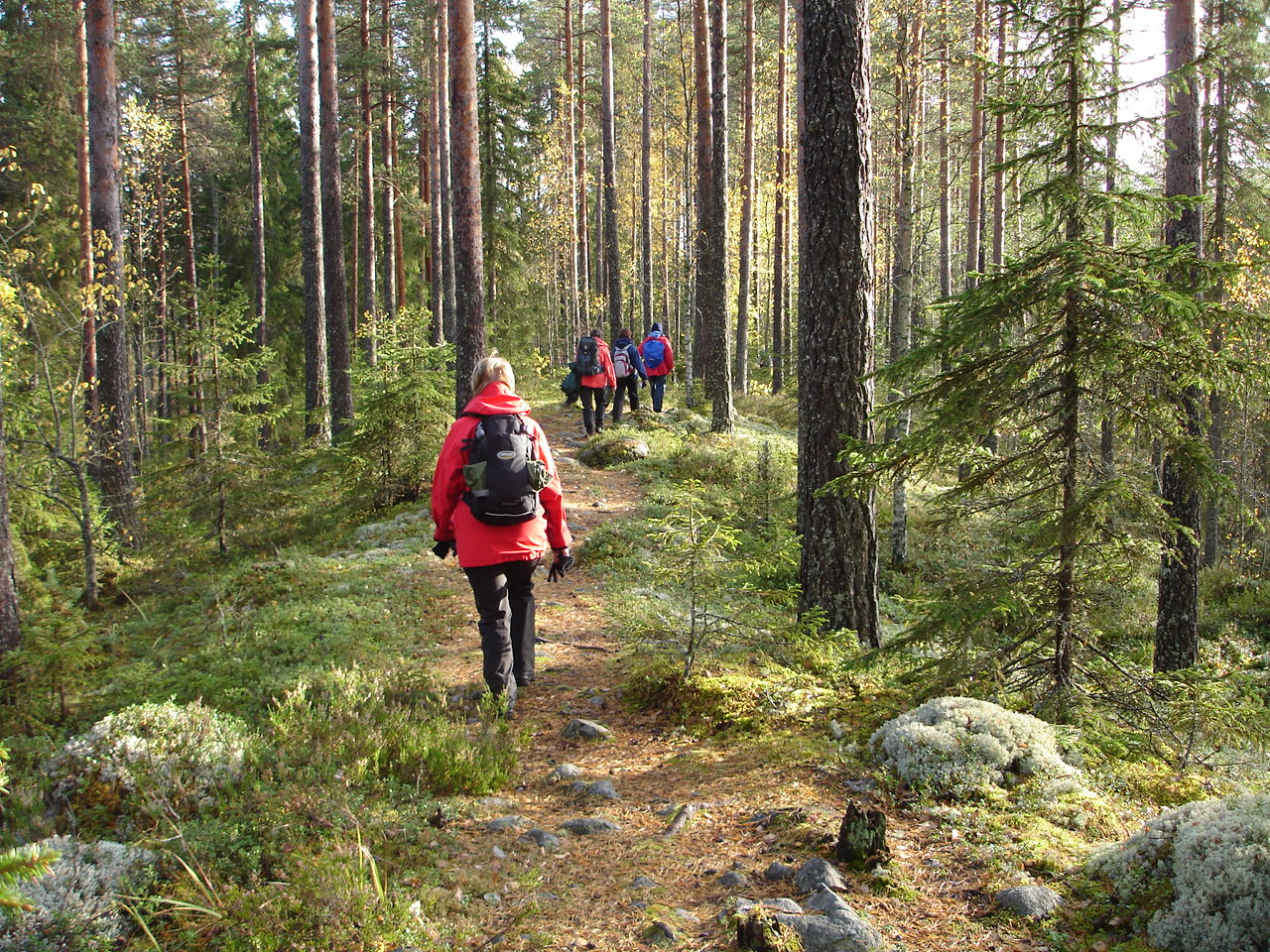 Course image